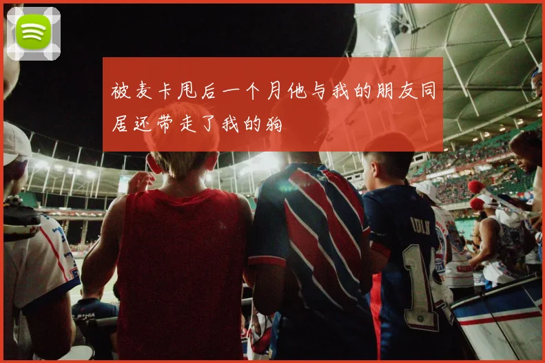被麦卡甩后一个月他与我的朋友同居还带走了我的狗