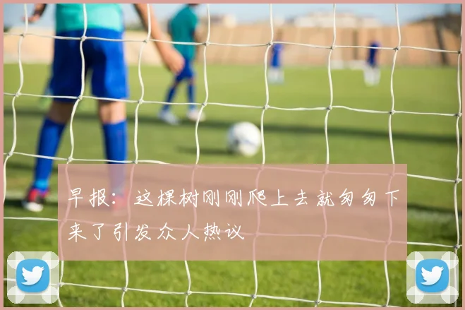 早报：这棵树刚刚爬上去就匆匆下来了引发众人热议