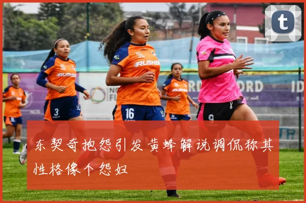 东契奇抱怨引发黄蜂解说调侃称其性格像个怨妇