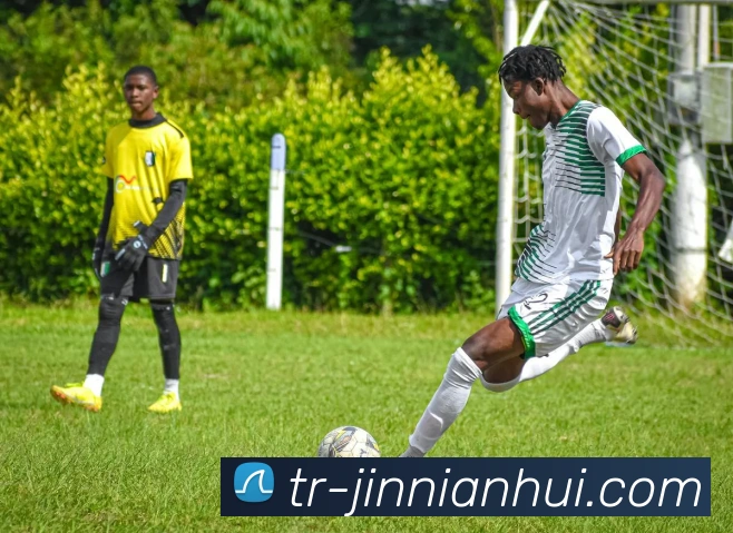 今年会官网发展历程